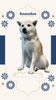 「Dog salon mofu mofu　余市町」
