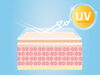 毎日のUVケアで美肌を守る方法「福井エステサロンMEIS Beauty Salon福井店 – 毎日のUVケアで美肌を守る方法」