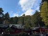 「11月水曜休診日のお知らせです。」