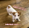 「新しいお家に行くことになりました😊」