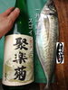 「真鯵入荷致しました
【浜町の海鮮居酒屋 上なり】」