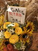 5周年ありがとうございます「とうとう降りました〜さむむ」