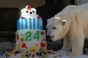 【完売品・激レア・早い者勝ち】とべ動物園 しろくまピース 25歳記念トートバッグ 完売品・激レア・早い者勝ち】とべ動物園 しろくまピース 25歳