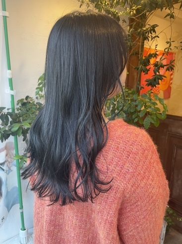 伊丹 美容室 dot.hair イルミナカラー「重く見えない暗髪カラー🐈‍⬛ 伊丹 美容室」