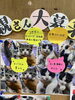 「新しい子猫の里親さん募集について」