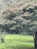 自然豊かな場所でリフレッシュしませんか🍂「自然を満喫！山田緑地公園で爽やかな秋散歩🍁」
