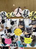「新しい子猫の里親さん募集について」
