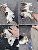 寝転ぶの好き「(ΦωΦ) ねこ元気 (=^・^=)　★英会話と体操のコラボ教室（堀切、お花茶屋、綾瀬、亀有、小菅）」