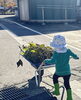 一輪車を押す息子！「幼いから出来ない！…は、ちょっと違うかな…」