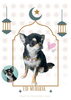 「Dog salon mofu mofu　余市町」