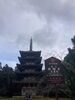 醍醐寺五重の塔「京都紅葉紀行3日間　①日目」