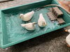 まだ溜まってないよ！「静かになりました。」