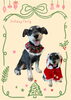 「Dog salon mofu mofu　余市町」