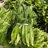 「岩手県産「芭蕉菜(ばしょうな)」の出荷が今年も始まってます！！」