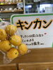 キンカン「鉾田産『キンカン』入荷しました！」