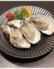 「蒸し牡蠣」