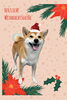 「Dog salon mofu mofu　余市町」