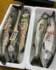 「ハラコ販売中でーす‼️鮮魚パックいろいろ販売中‼️〆鯖も販売致します🐳」