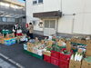 「1日市場オープン！千葉県木更津方面より『YAセレクト（わいえーせれくと）』さんが細田四丁目【産楽スペース】に登場！新鮮な野菜・旬な果物を大安売り！（2024年11月28日（木）の様子）※次回出店は12月15日（日）予定」