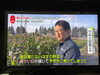とても西日が強い時間の収録でした🌇「☆カラフル野菜の小山農園、『news zero』、『ZIP!』に☆」