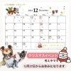 お知らせ📢「12月のお休みについて🎅🏼🎄✨」