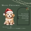 魔法洋菓子店ソルシエさんInstagramより「クリスマスを楽しみましょう♪　大切な家族の一員、🐶わんちゃんにも特別なクリスマスを🎅」