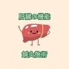 肝臓くん「肝機能は鍼灸で向上できる??/江別鍼灸/NAgomi」