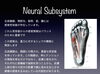 フットコア〜ニューラルサブシステム「足部のシステム＿フットコア１」