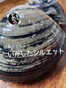 「ホッキ貝入荷致しました
【浜町の海鮮居酒屋 上なり】」