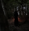 魔女の自宅。森。「タロット占い🔮」