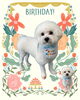 「Dog salon mofu mofu　余市町」