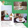 「12月限定メニュー」