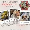 12月のオプションキャンペーン🎀&プレゼント🎁