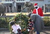 「12/22_🎄アフリカゾウへ"クリスマスリース"をプレゼントします！」