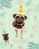 「Dog salon mofu mofu　余市町」