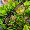 「角矢甚治郎のメガネ👓」