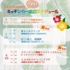 「24.12/3〜12/8 出店情報🚚🌈☀️」