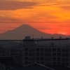 屋上庭園から富士山がみえました💛