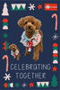 「Dog salon mofu mofu　余市町」