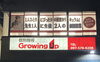 「【個別指導Growing Up高城校】グローイングアップで過ごした日々②」