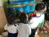 こども園の子供たち「こども園の水槽の様子/女性と子供に大人気のアクアリウム/静岡/熱帯魚/水槽レンタル/島田市/癒し/内装」