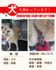 「【新居浜市南小松原1番付近】市の環境保全課さんから、迷い犬の情報です。」