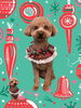 「Dog salon mofu mofu　余市町」