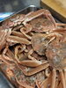 剥き身にしてご提供「今日のおすすめメニュ〜　【魚も酒も自ら厳選する瑞江の小料理屋】」