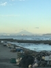 良い感じの富士「12/7  富士山」