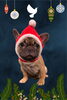 「Dog salon mofu mofu　余市町」