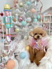 さらんちゃん「MerryXmas🎄」