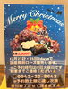 「クリスマスロース販売」