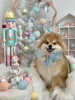 ふうたくん「MerryXmas🎄」