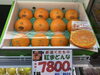 紅まどんな🍊「甘味が非常に強く、酸味は控えめな　紅まどんな🍊」